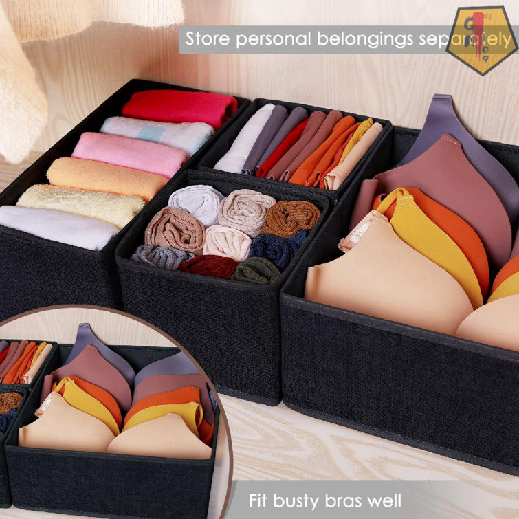 Garment best sale drawer organizer